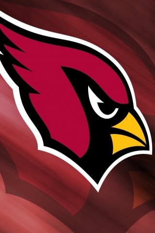 arizona cardinals